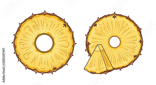 Detailed illustration of two round pineapple slices and a small triangular wedge showing the internal texture and spiky skin.
