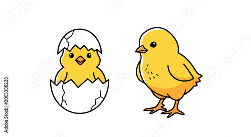 Two cute yellow baby chicks with one newly hatched from a white eggshell in a charming spring and easter themed illustration.