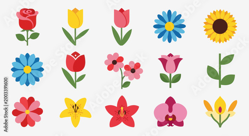 Colorful floral arrangement vector illustration