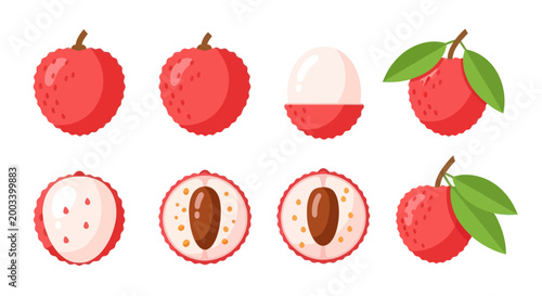Fresh lychee fruit illustration