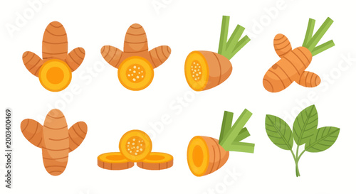 Fresh orange carrots vector illustration