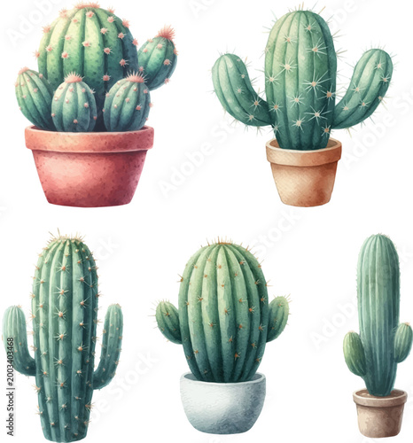 Vector Watercolor Painted Illustration of a Cactus in a Pot