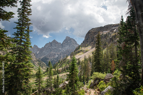 Obraz na płótnie The cathedral group as seen from the north fork of Cascade Canyon, Grand Teton N