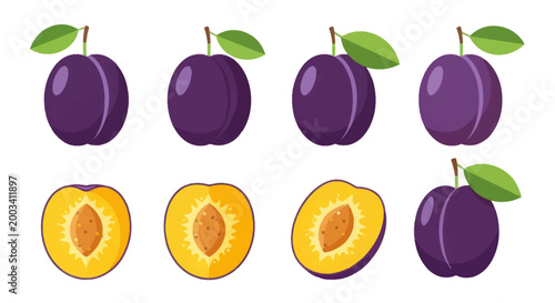 Fresh plums vector illustration