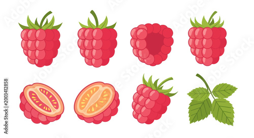 Fresh raspberry illustrations