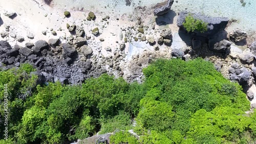 Aerial Top-Down View of Tropical Beach with Clear Turquoise Water, Rocky Shore, and Lush Green Cliff