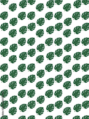 Stylish seamless pattern featuring repeating dark green monstera leaves on a clean background. Ideal for tropical branding, fabric prints, wallpapers, wrapping paper, summer packaging, and modern bota