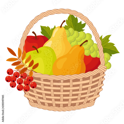 Farm fruits in a wicker basket for healthy eating. Garden containers with apples, pears and grape. Abundance and healthy eating choices concept