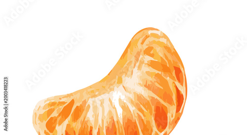 Vector watercolor illustration of a tangerine