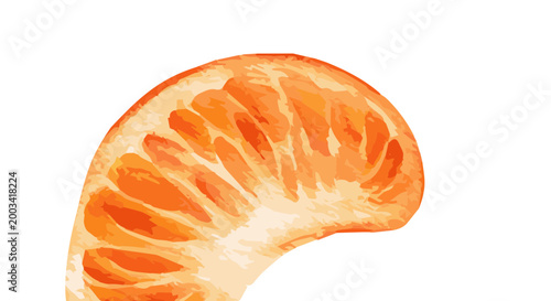 Vector watercolor illustration of a tangerine