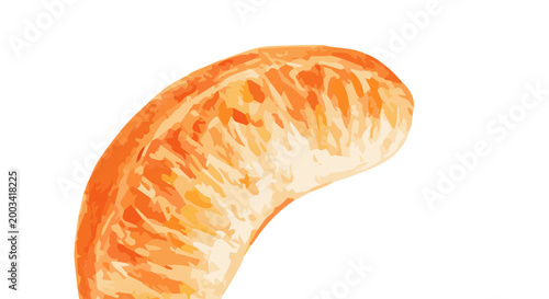 Vector watercolor illustration of a tangerine