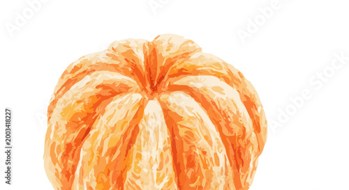 Vector watercolor illustration of a tangerine
