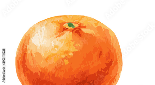 Vector watercolor illustration of a tangerine