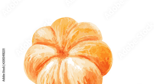 Vector watercolor illustration of a tangerine