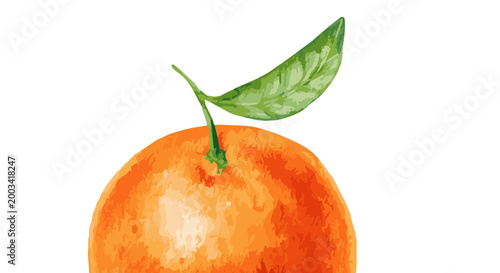 Vector watercolor illustration of a tangerine