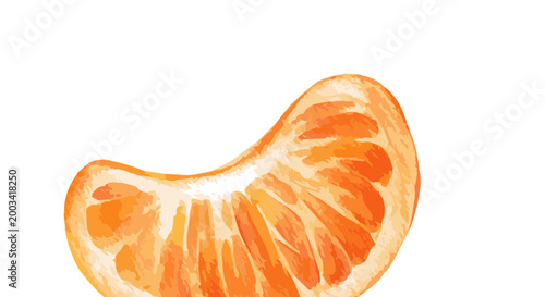 Vector watercolor illustration of a tangerine