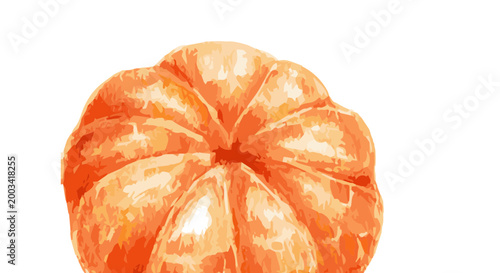 Vector watercolor illustration of a tangerine