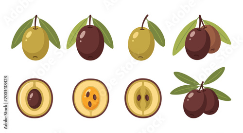 Olive fruits illustration set