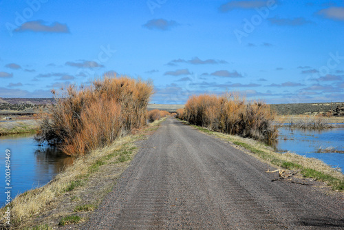 Quadro em tela Gravel Road Through A Wetland In Eastern Oregon