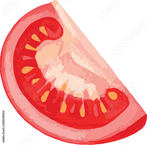 Vector watercolor illustration of a tomato