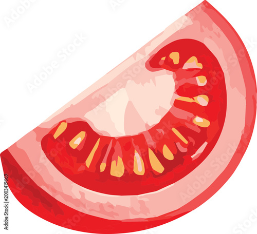 Vector watercolor illustration of a tomato