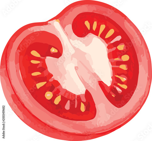 Vector watercolor illustration of a tomato