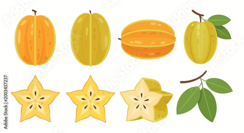 Bild auf Leinwand Star fruit collection isolated illustrations