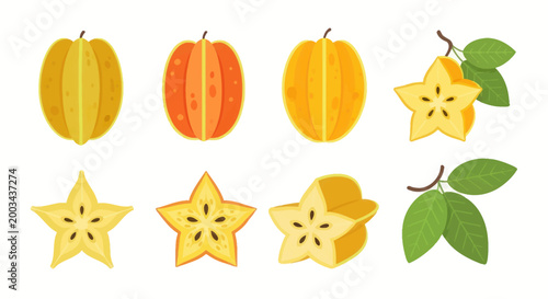 Bild auf Leinwand Star fruit vector illustration of sliced carambola
