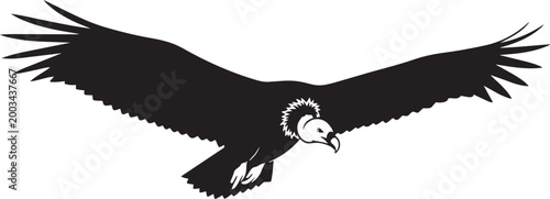 Silhouette of a condor in flight a powerful bird of prey with outstretched wings isolated on a white background for graphic design