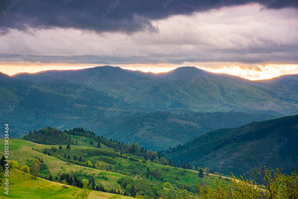 Obraz premium mountainous countryside scenery in the afternoon. gloomy sky view above the valley. green fields and trees on the hills. volatile nature scenery of carpathian mountains