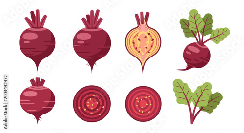 Vibrant beetroot illustrations on white