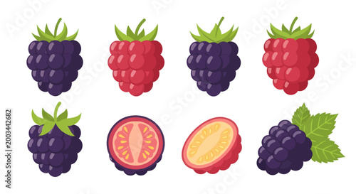 Vibrant berries illustration on white background