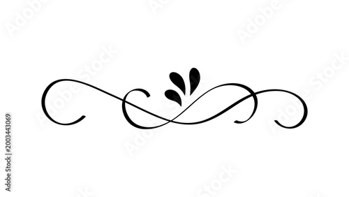 Double Loop Calligraphic Flourish, Elegant Ornamental Divider Design