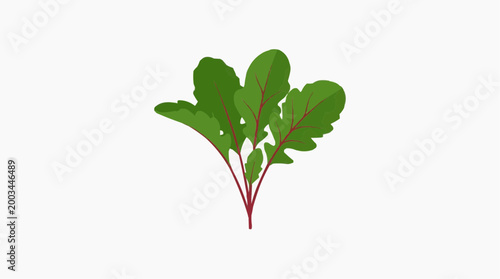 Fresh, vibrant green beet greens, their leaves spread out in a visually appealing arrangement, inviting healthy choices.