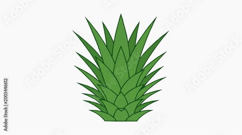 A close-up photograph displays a detailed view of pineapple leaves. The image presents a clean and isolated view of the plant's top, highlighting the symmetry and vibrant green color of its foliage.