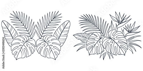 Minimal Tropical Leaf Line Art Collection with Monstera Palm Banana and Exotic Botanical Foliage