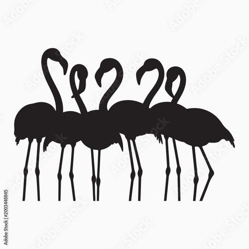  flamingo silhouette vector illustration on white background 