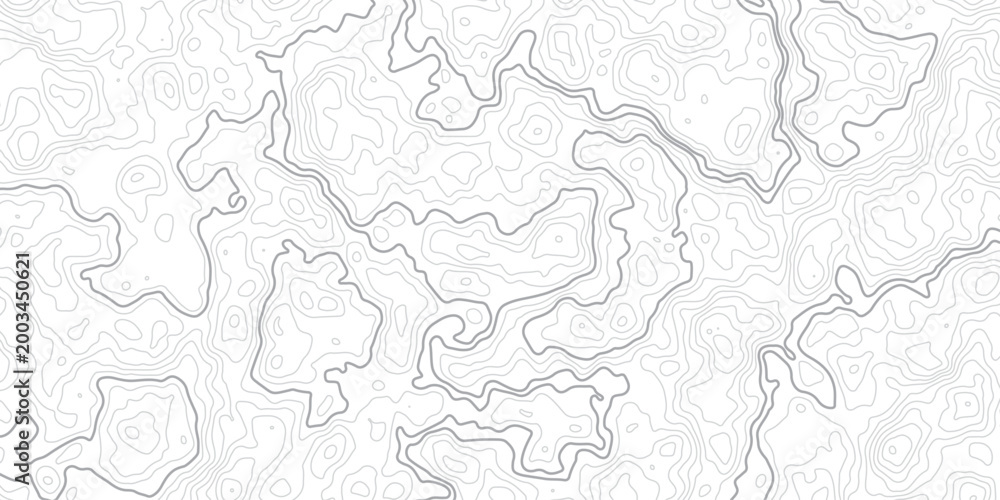 Obraz premium Seamless topographic map contour lines pattern white background abstract background.