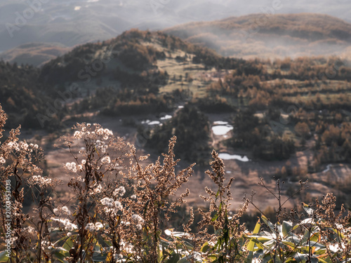 Sunrise over misty mountain valley with sea of clouds, autumn landscape in Japan