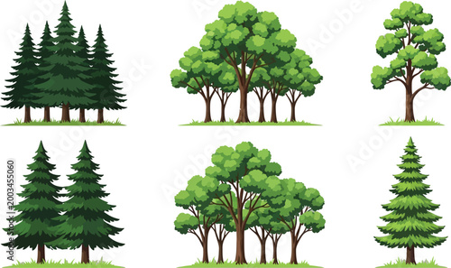 Six different types of stylized trees illustration Vector