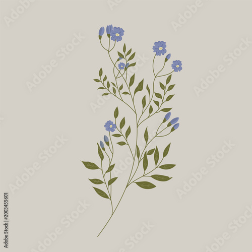 Beautiful hand drawn botanical illustration of blue wildflowers and green foliage branch on beige background for wedding invitations floral cards vintage posters and nature design concepts