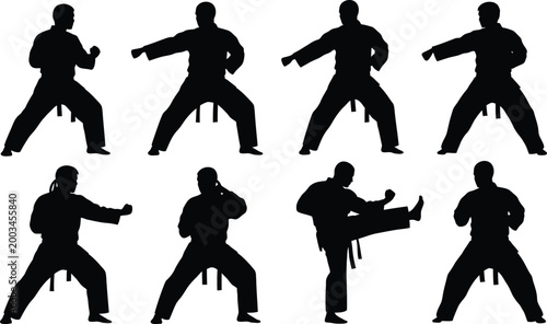 Martial arts silhouette series dynamic poses of a kung fu practitioner