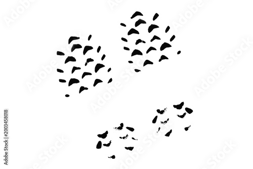Foto Hand painted black ink spots resembling abstract animal print isolated