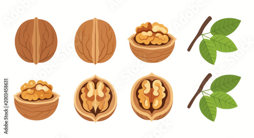 Photos Walnuts in various stages of decomposition