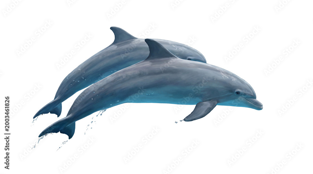 Obraz premium Two graceful dolphins burst from the ocean in a synchronized leap, embodying marine freedom and the elegant beauty of aquatic life against a pristine backdrop