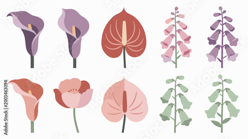 Bilde på lerret A calming illustration of calla lilies, perfect for spring themes, wedding invitations, or backgrounds