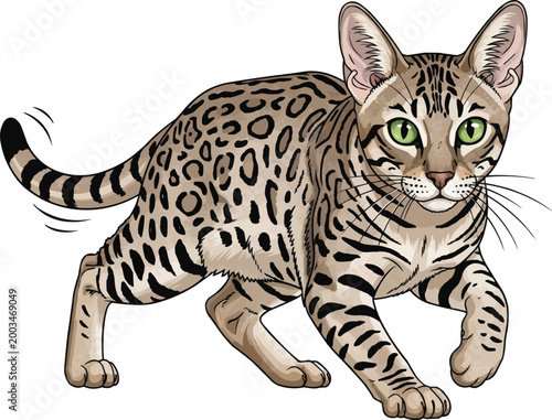 Egyptian Mau cat focused stalking movement alert illustration