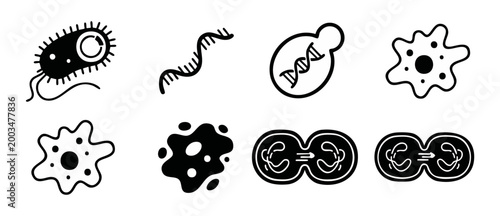 Microbiology Icons Set: Bacteria, DNA, Cell Division and Protozoa. Vector collection of black medical biological shapes for laboratory science research, educational diagrams and healthcare infographic