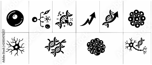 Fotografie Stem Cell Biology Icons Set, DNA Editing and Cell Differentiation Vector Symbols for Scientific Research, Medical Technology and Genetic Engineering Diagrams, Monochrome Flat Graphical Illustrations