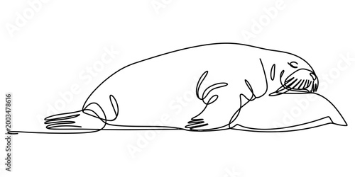 Continuous single line drawing of a cute walrus sleeping peacefully with its head resting on a soft pillow in a minimalist style Vector, illustration